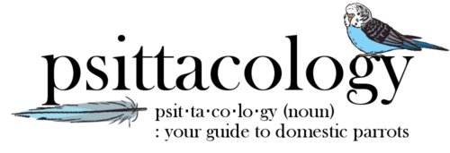 Psittacology