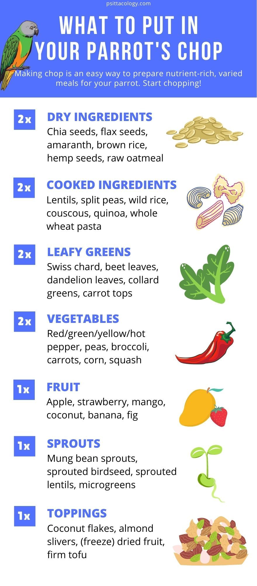 Infographic listing possible ingredients for chop food for parrots.