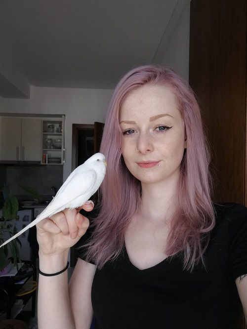 Purple-haired woman with white budgie parrot on her finger