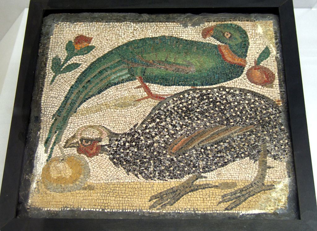 Roman mosaic of Psittacula parrot and guineafowl.