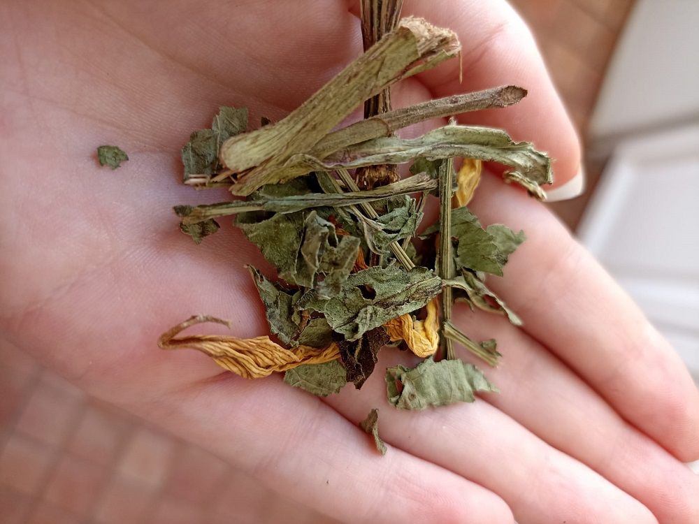 Dried herbs for parrots.