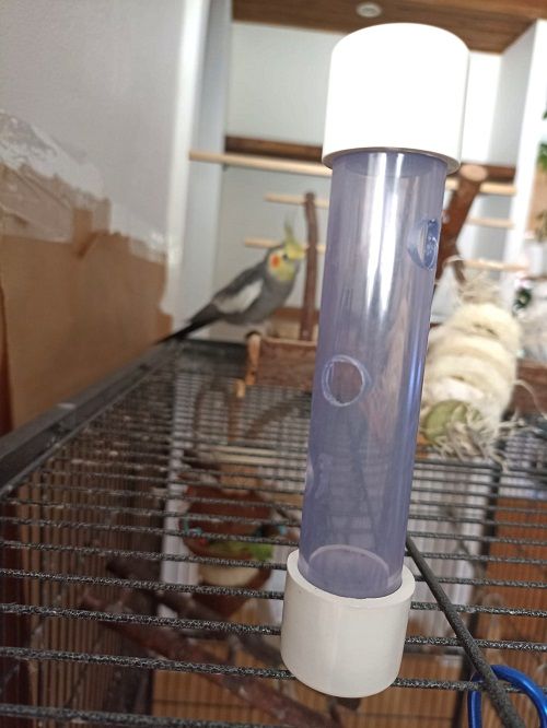 Treat tube parrot foraging toy