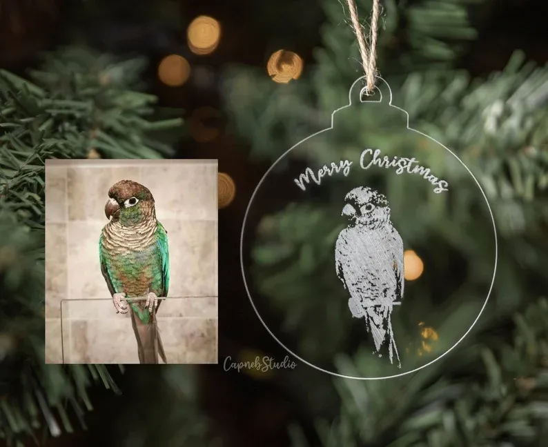 Personalized parrot Christmas decoration gift for parrot owners