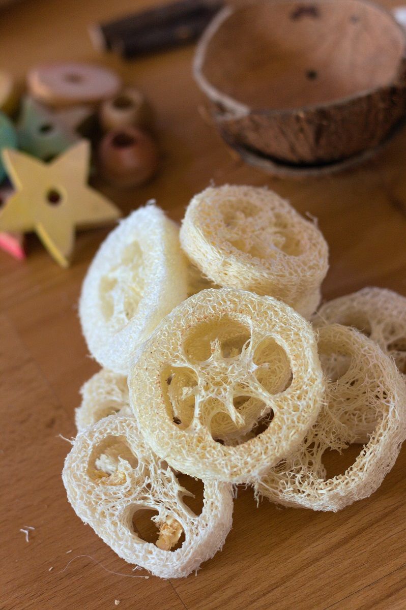 Assortment of parrot toy making parts with focus on dried loofah rings.