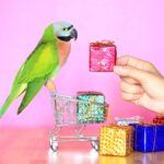 Parrot on mini shopping cart being offered a shiny gift package